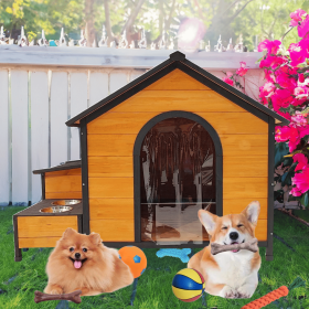 Strong Dog House for Playground